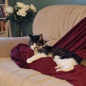 Meet your Posher, Diane